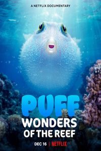 Download Puff: Wonders of the Reef (2021) Netflix Dual Audio [Hindi ORG-English] WEB-DL || 720p [600MB] || 480p [200MB] || ESubs